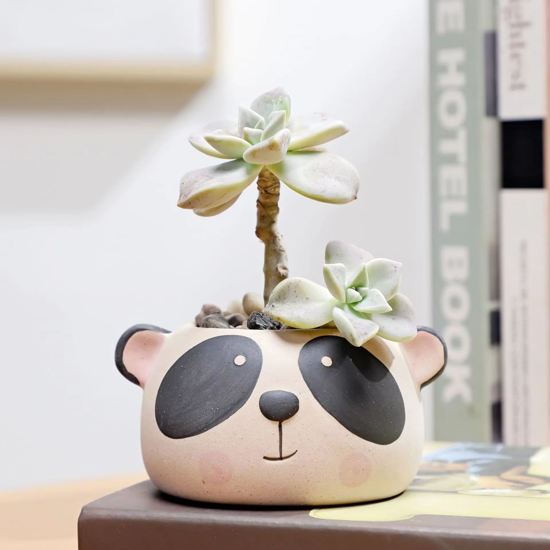 1Pcs Nordic Style Ceramic Animal Flower Pot Cartoon Bear Cat Cow Head Mini Pot Succulents Plants Bonsai Pots Home Decoration