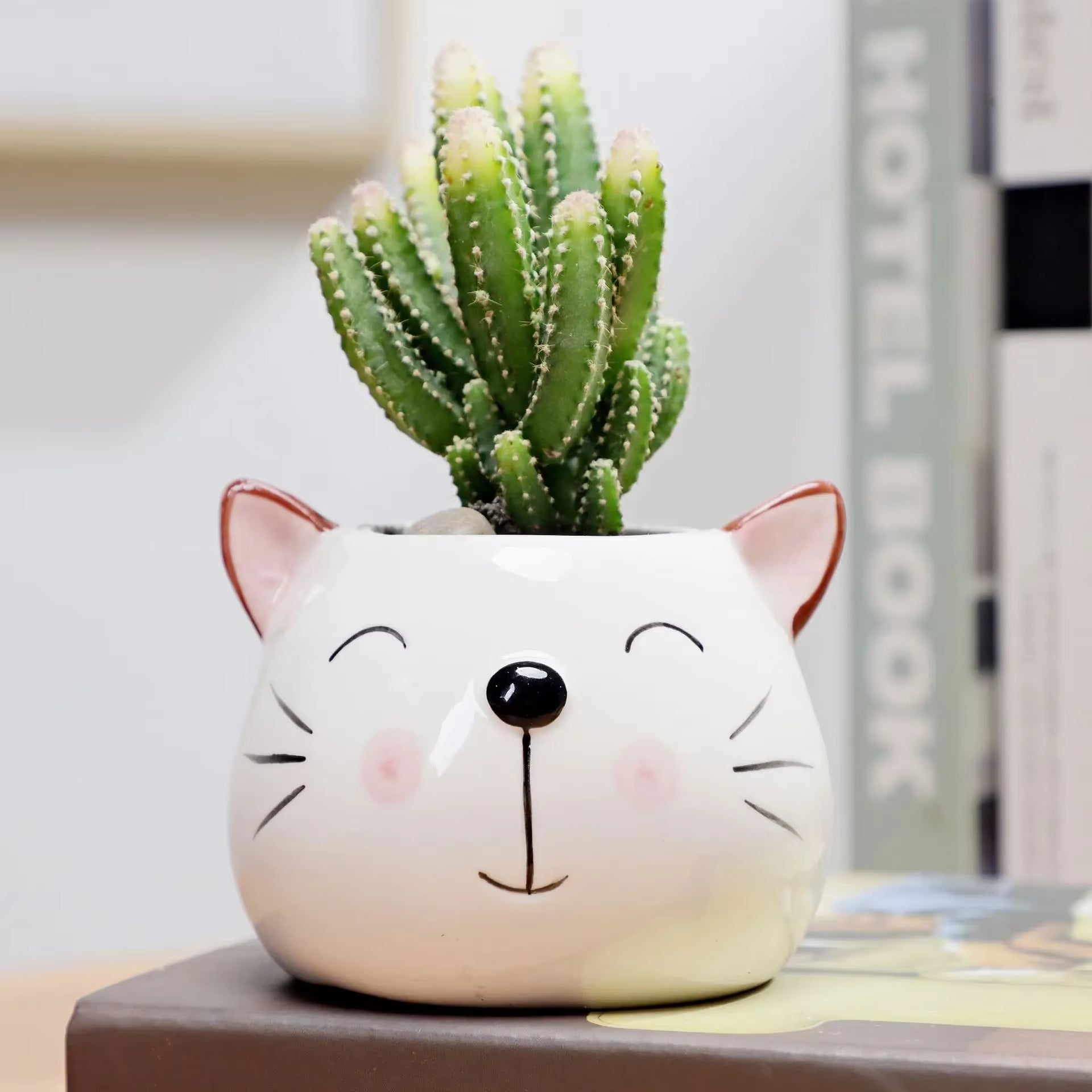 1Pcs Nordic Style Ceramic Animal Flower Pot Cartoon Bear Cat Cow Head Mini Pot Succulents Plants Bonsai Pots Home Decoration