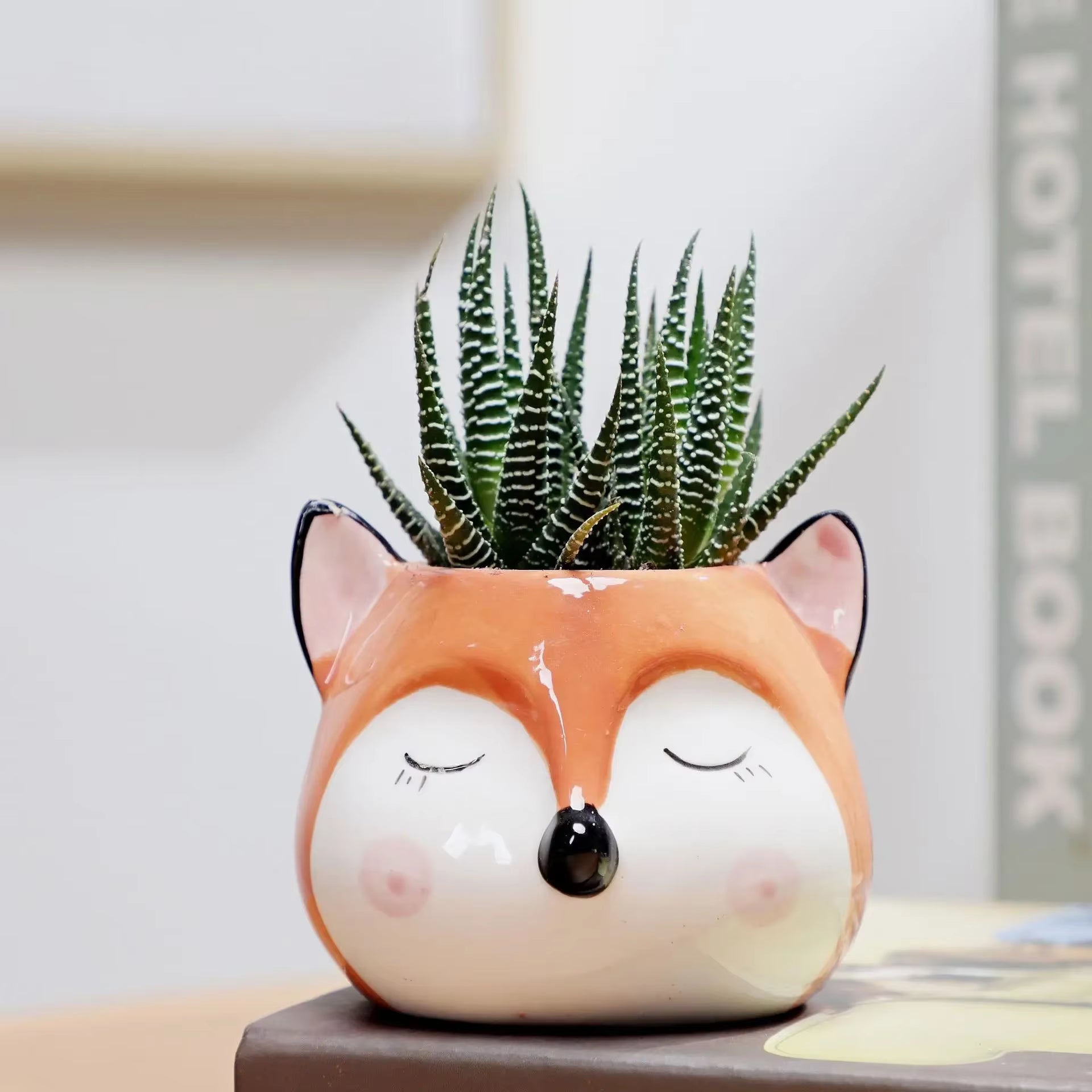 1Pcs Nordic Style Ceramic Animal Flower Pot Cartoon Bear Cat Cow Head Mini Pot Succulents Plants Bonsai Pots Home Decoration