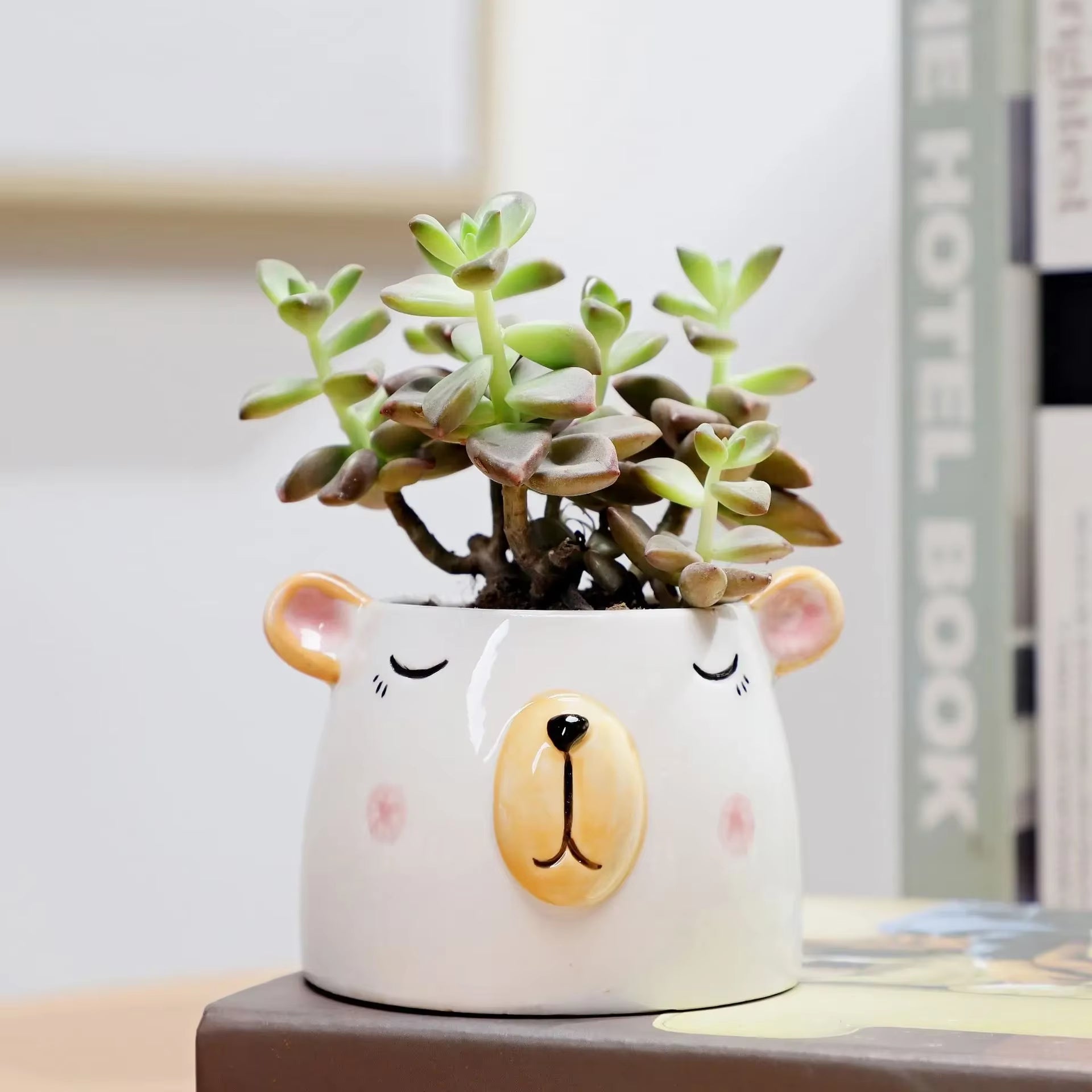 1Pcs Nordic Style Ceramic Animal Flower Pot Cartoon Bear Cat Cow Head Mini Pot Succulents Plants Bonsai Pots Home Decoration