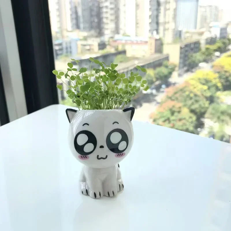 Mini pot chat