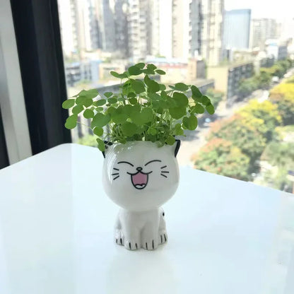 Mini pot chat