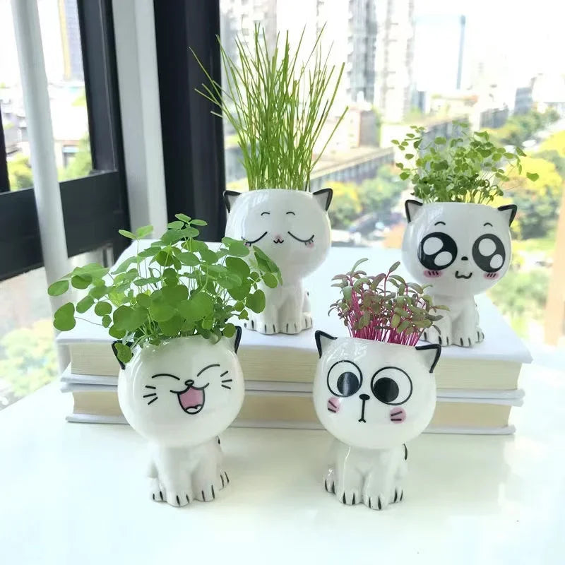 Mini pot chat